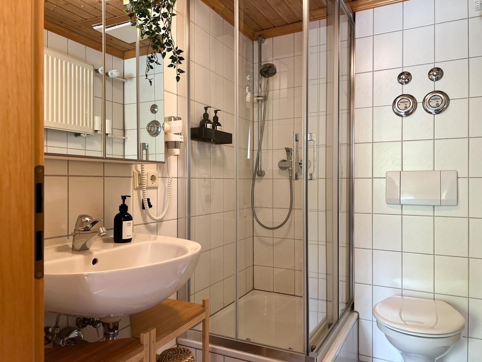 Schwarzwald Apartments Im Haus Tanneck - Feldberg - Titisee Экстерьер фото
